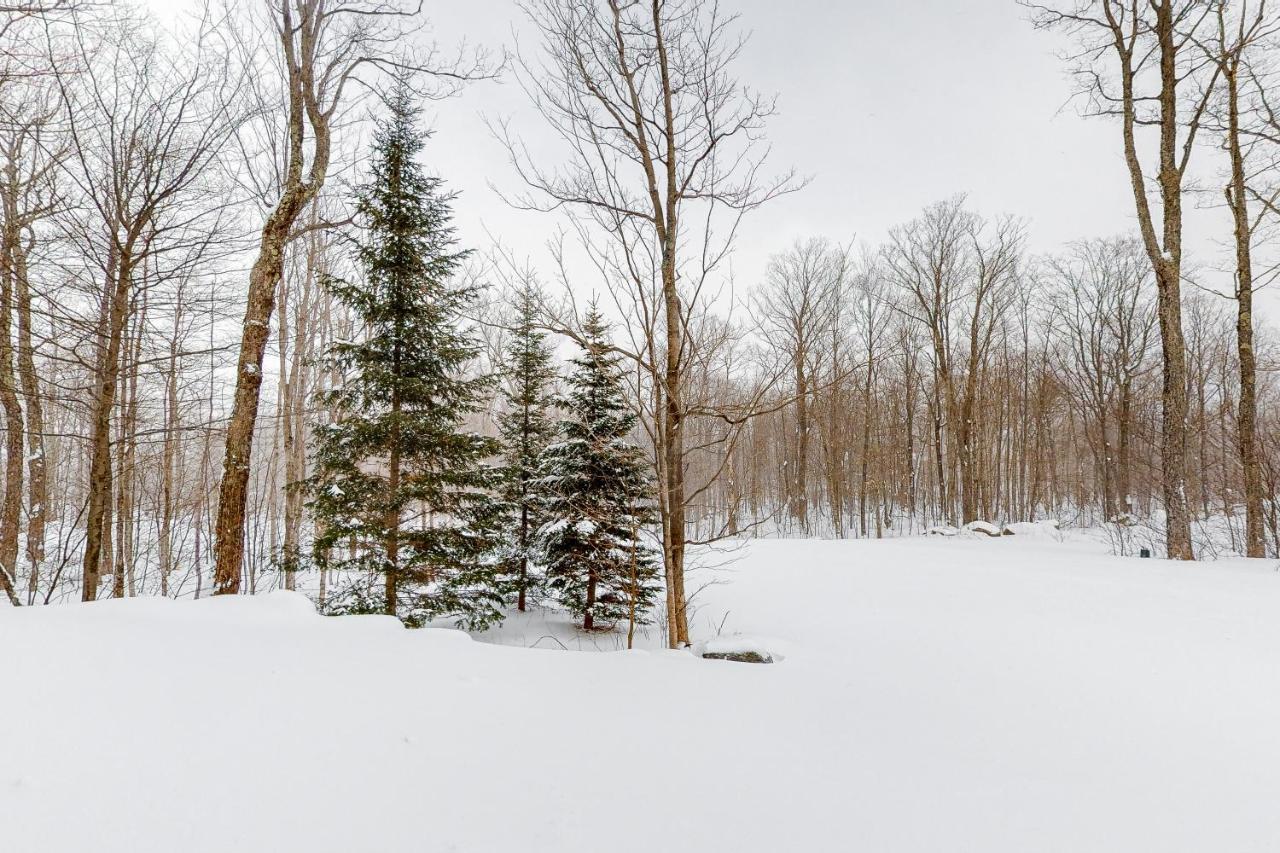 Jay Peak Village Home 367B Екстериор снимка